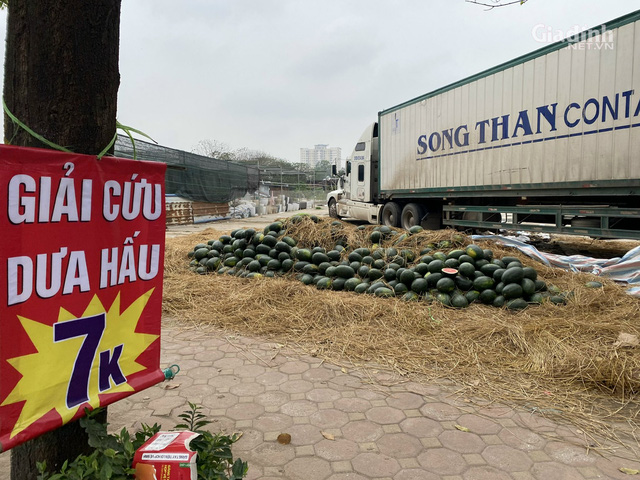 Trái cây Trung Quốc ế ẩm, hàng Việt Nam giá từ 7.000 đồng/kg đắt như tôm tươi - Ảnh 3.