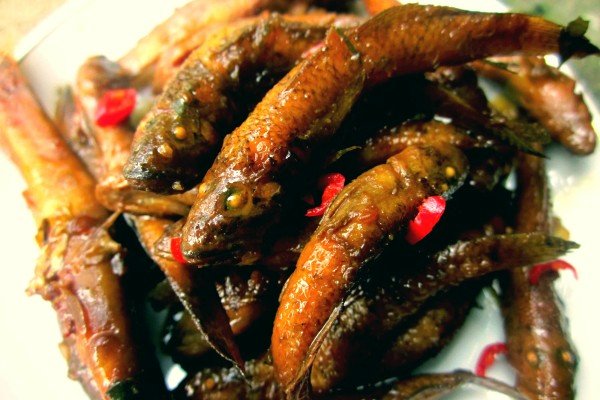 The type of fish has the effect of treating coughs of all kinds, both nourishing the body and boosting collagen, but Vietnamese people now eat less - Photo 4.