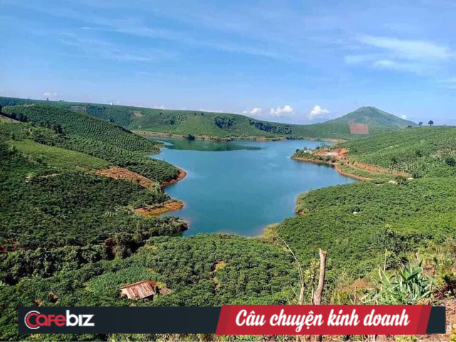 Đất Lâm Đồng lại dậy sóng: Hơn 12.000 lô đất nền được bán, trao tay gần 12.000 tỷ đồng trong 3 tháng - Ảnh 2.