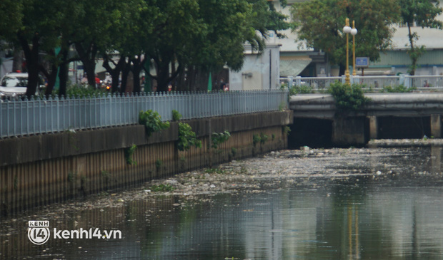   Dead fish mixed with garbage floating on Nhieu Loc - Thi Nghe canal in Ho Chi Minh City - Photo 1.