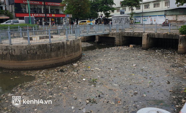  Cá chết lẫn trong rác thải nổi kín mặt kênh Nhiêu Lộc - Thị Nghè ở TP.HCM - Ảnh 2.
