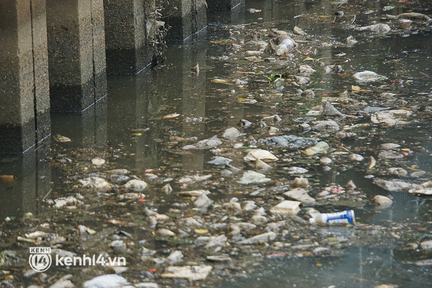   Dead fish mixed with garbage floating on Nhieu Loc - Thi Nghe canal in Ho Chi Minh City - Photo 12.