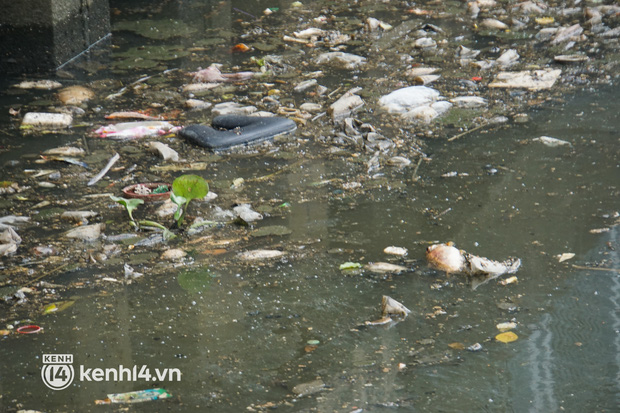   Dead fish mixed with garbage floating on Nhieu Loc - Thi Nghe canal in Ho Chi Minh City - Photo 14.