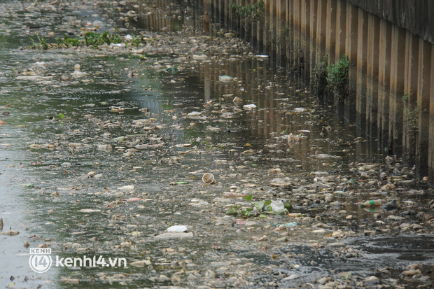  Cá chết lẫn trong rác thải nổi kín mặt kênh Nhiêu Lộc - Thị Nghè ở TP.HCM - Ảnh 3.