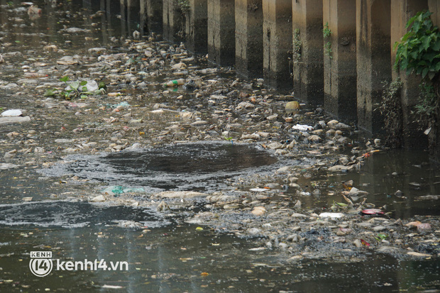   Dead fish mixed with garbage floating on Nhieu Loc - Thi Nghe canal in Ho Chi Minh City - Photo 4.