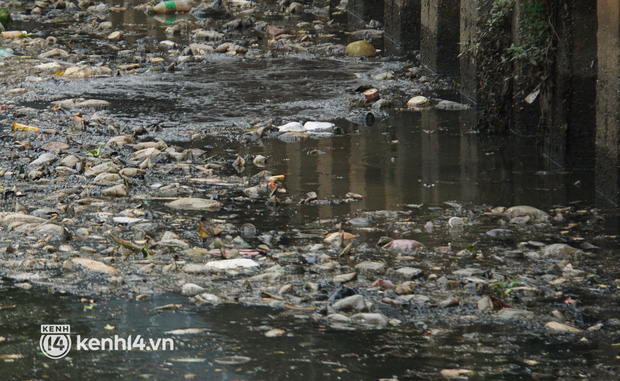   Dead fish mixed with garbage floating on Nhieu Loc - Thi Nghe canal in Ho Chi Minh City - Photo 6.