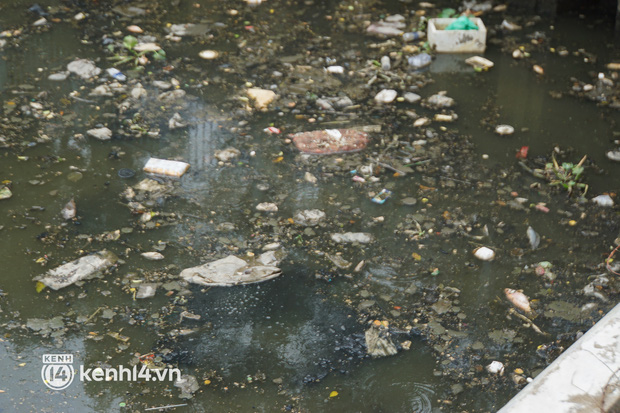  Dead fish mixed with garbage floating on Nhieu Loc - Thi Nghe canal in Ho Chi Minh City - Photo 8.