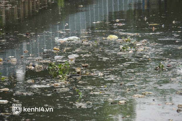   Dead fish mixed with garbage floating on Nhieu Loc - Thi Nghe canal in Ho Chi Minh City - Photo 9.
