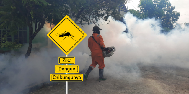 Khi thuốc diệt muỗi không giết được chúng, những con muỗi đang ngày một mạnh hơn - Ảnh 5.
