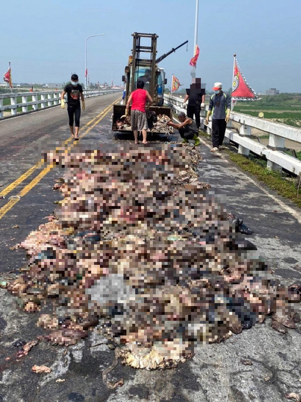 Trucks spilling pig organs are rampant on the bridge, blocking traffic for 2 hours, the scene of the smelly scene is haunting - Photo 2.