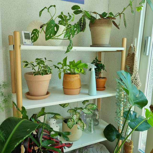 Minimalist Apartment Design Korean Mother Turns The Living Room Into A Lifetime Play Space For Her Baby Blogtuan Info Minimalist Apartment Design Korean, Korean House Plants