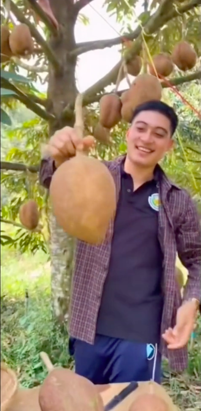   The strangest durian tree in the world because it gives fruit... no thorns, when it's cut inside, people are even more surprised - Photo 3.