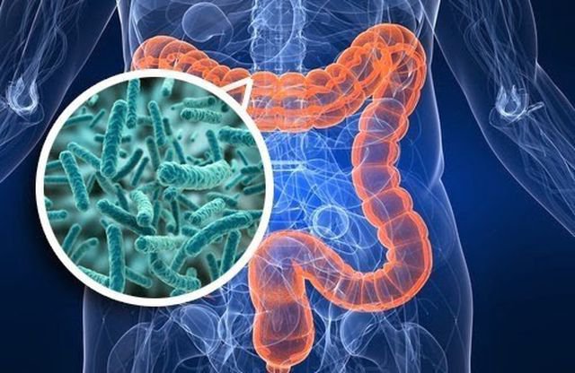 The female doctor who had a stroke because of eating Keto found a way to ACTIVATE the lean bacteria, successfully lost 15kg: Simple method, office people sagged their stomachs to learn quickly - Photo 2.