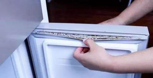 Detecting refrigerator cracks full of stains and black?  There is a small trick to help you clean like new immediately - Photo 1.