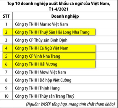 Giải mã Tập đoàn Hải Vương - Đế chế cá ngừ xuất khẩu và cá pelagic lớn nhất Việt Nam - Ảnh 2.