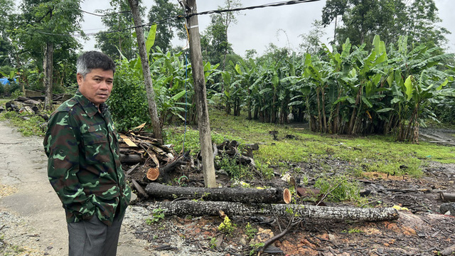 Tỉnh Thừa Thiên – Huế đính chính vụ lô đất xa TP có giá 45 triệu đồng/m2 - Ảnh 1.