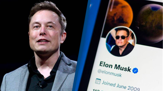  Có tài sản hơn 200 tỷ USD, nhưng Elon Musk có thể không đủ tiền mua được Twitter  - Ảnh 1.