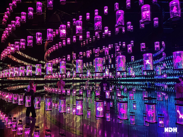 Du khách Việt kể trải nghiệm choáng ngợp trong Bảo tàng Tương lai ở Dubai - Ảnh 6.