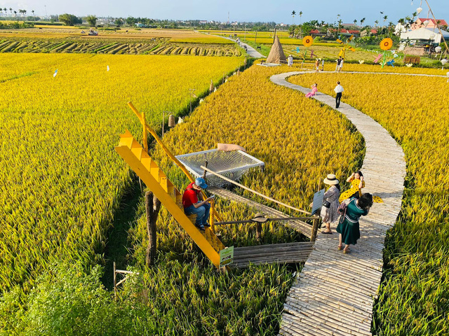  Xu hướng du lịch năm nay không phải view biển hay view đồi, mà chính là đi tìm BỜ RUỘNG hay CÁNH ĐỒNG xanh mướt mắt  - Ảnh 4.