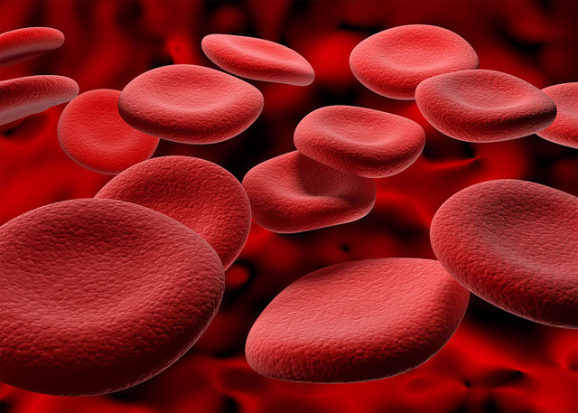   Why do we have different blood types?  - Photo 2.