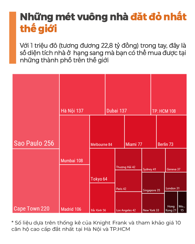 The most expensive square meters of houses: Between Dubai and Ho Chi Minh City.  Ho Chi Minh, where can I buy a larger area with 1 million dollars?  - Photo 2.