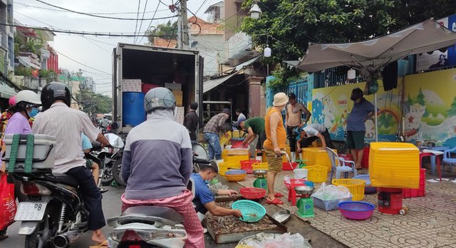 Ghẹ biển tăng giá chưa từng thấy, hải sản hút hàng - Ảnh 1.