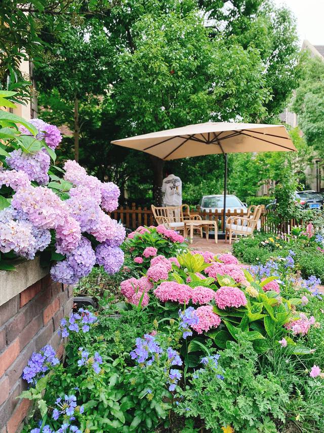 The garden of the house, well cared for by two grandparents, is filled with beautiful blooming hydrangeas like a fairyland - Photo 4.