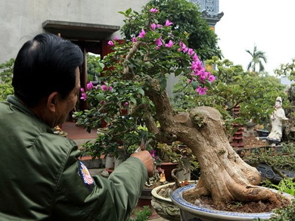 Nhổ cây dại ven đường, chàng trai đem về biến thành tác phẩm nghệ thuật ai cũng trầm trồ - Ảnh 3.