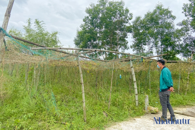 Giá đất nhảy vọt, nhiều địa phương công khai quy hoạch để chống sốt ảo - Ảnh 1.