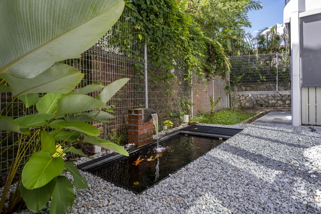   Koi pond in a cool green space in a 350 m2 wide tube house - Photo 4.