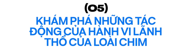  8 nghiên cứu đã thay đổi thế giới mà bạn chưa từng nghe tới  - Ảnh 11.