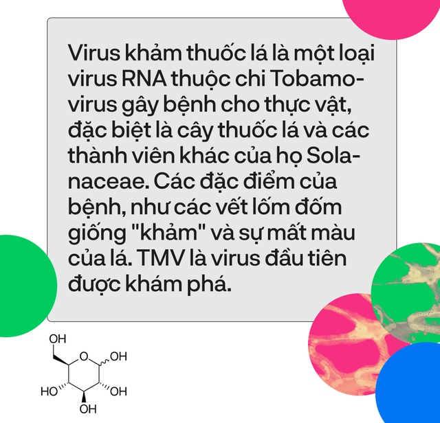  8 nghiên cứu đã thay đổi thế giới mà bạn chưa từng nghe tới  - Ảnh 8.