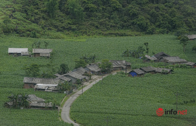  Du lịch Hà Giang chuyển mình, du khách đắm chìm trước cảnh đẹp mê hồn của vùng cao nguyên đá  - Ảnh 10.