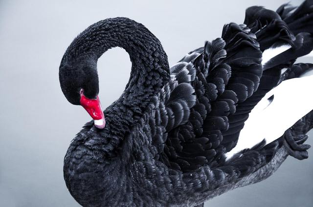 The collapse of Terra Luna and stablecoin TerraUSD is more serious than a Black Swan event of the Crypto market - Photo 1.