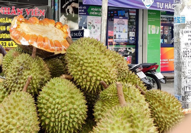 Red fleshed jackfruit peddling the price is still acrid - Photo 2.