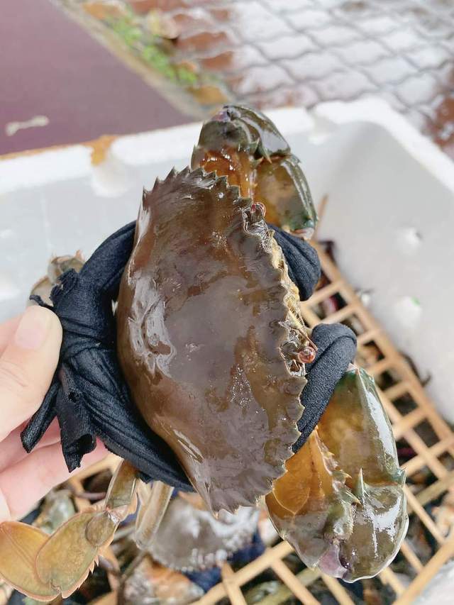 Real sea crabs are sold as cheap as giving, only 39,000 VND / fish - Photo 4.