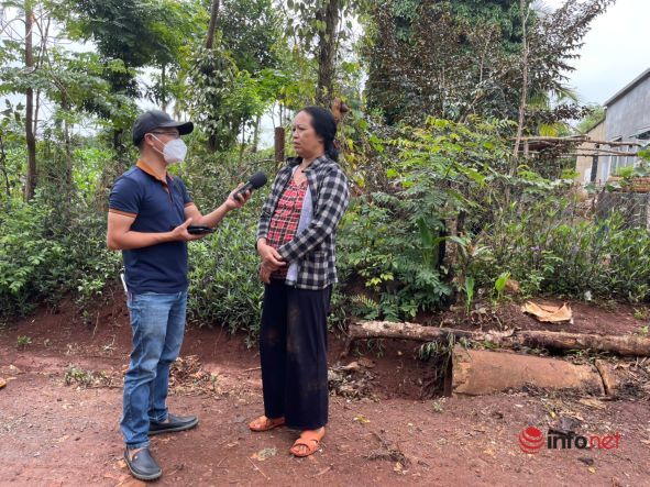 The land fever in the Central Highlands has just been cut, revealing a series of landowners who fell back because they lost their residential land even though they only traded garden land - Photo 1.