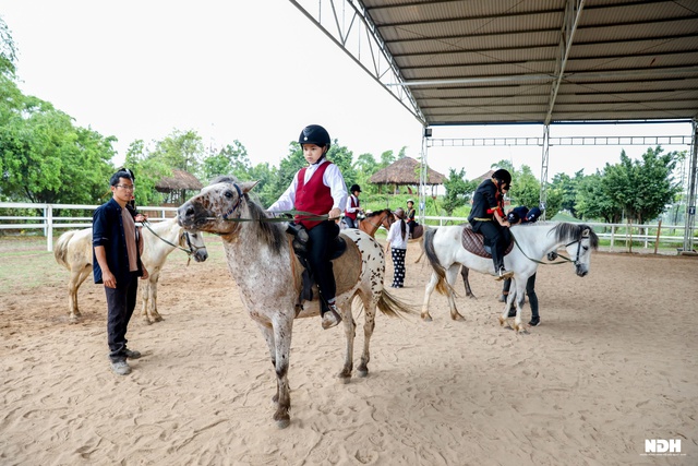 Người Hà Nội chi tiền triệu học cưỡi ngựa phong cách châu Âu - Ảnh 3.