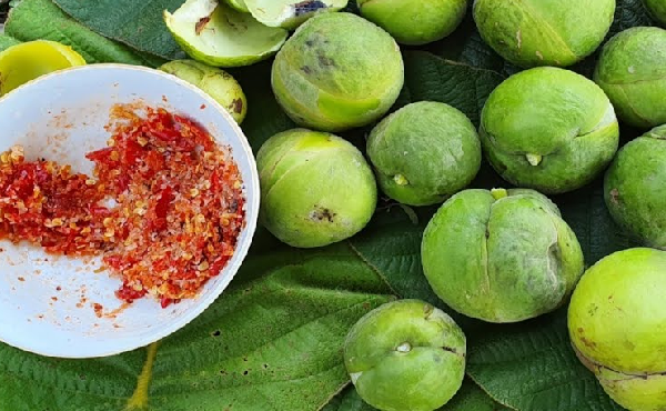 Loại quả quê xưa có đầy không ai hái, giờ thành đặc sản vừa ngon vừa lạ ở thành phố, 70.000 đồng/kg - Ảnh 4. Loại quả quê xưa có đầy không ai hái, giờ thành đặc sản vừa ngon vừa lạ ở thành phố, 70.000 đồng/kg - Ảnh 4.