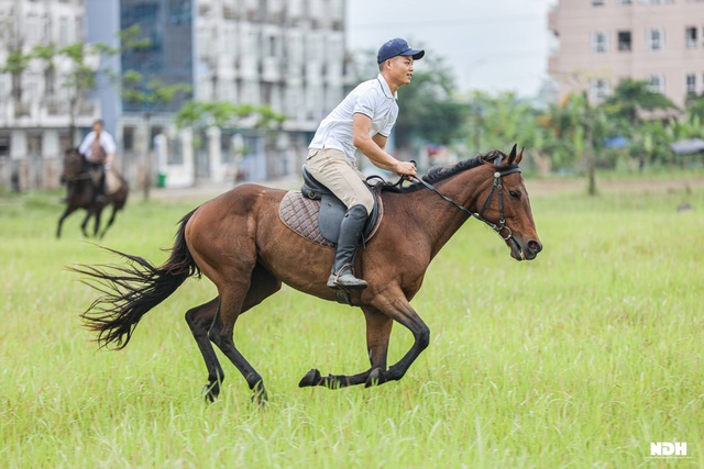 Người Hà Nội chi tiền triệu học cưỡi ngựa phong cách châu Âu - Ảnh 7.