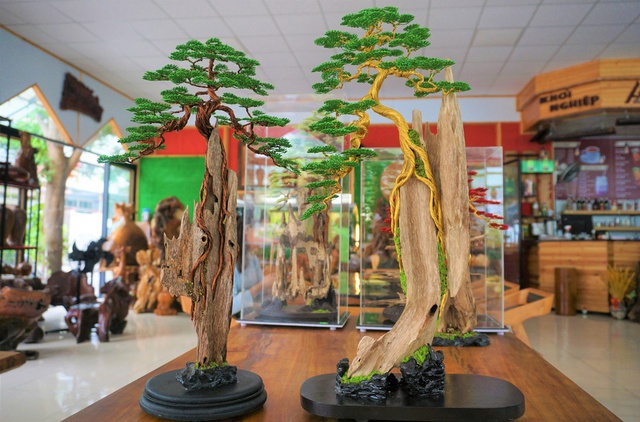 Kỹ sư bỏ việc nghìn đô, về làm bonsai bất tử bán cho đại gia: Doanh thu hơn 100 triệu đồng/ tháng - Ảnh 1.