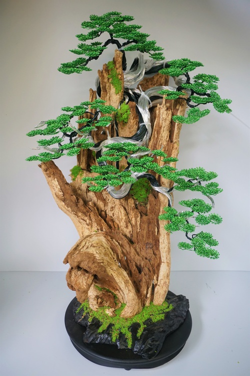 Kỹ sư bỏ việc nghìn đô, về làm bonsai bất tử bán cho đại gia: Doanh thu hơn 100 triệu đồng/ tháng - Ảnh 2.