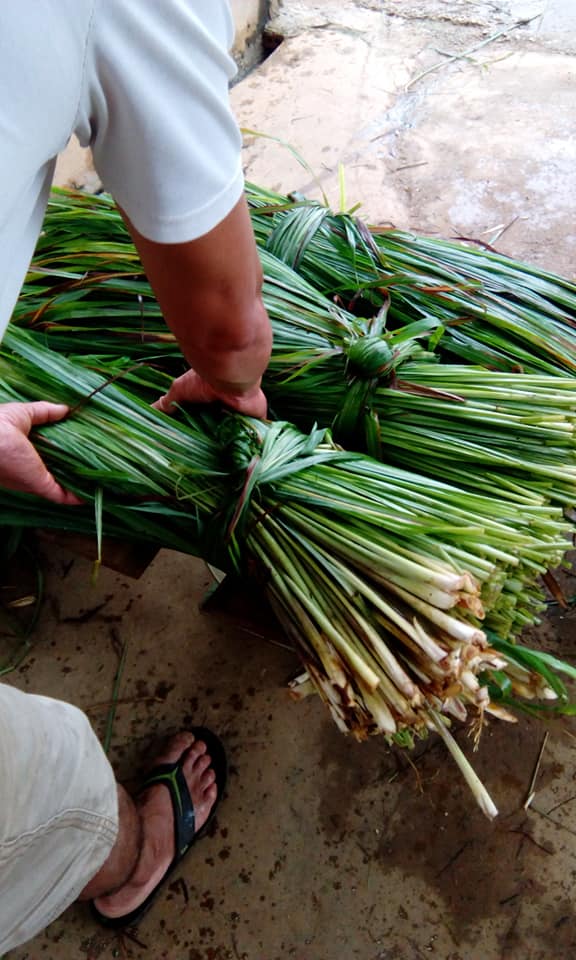 Chàng trai 25 tuổi bỏ ngang đại học về quê, kiếm tiền tỷ nhờ đam mê với lá cây - Ảnh 11.