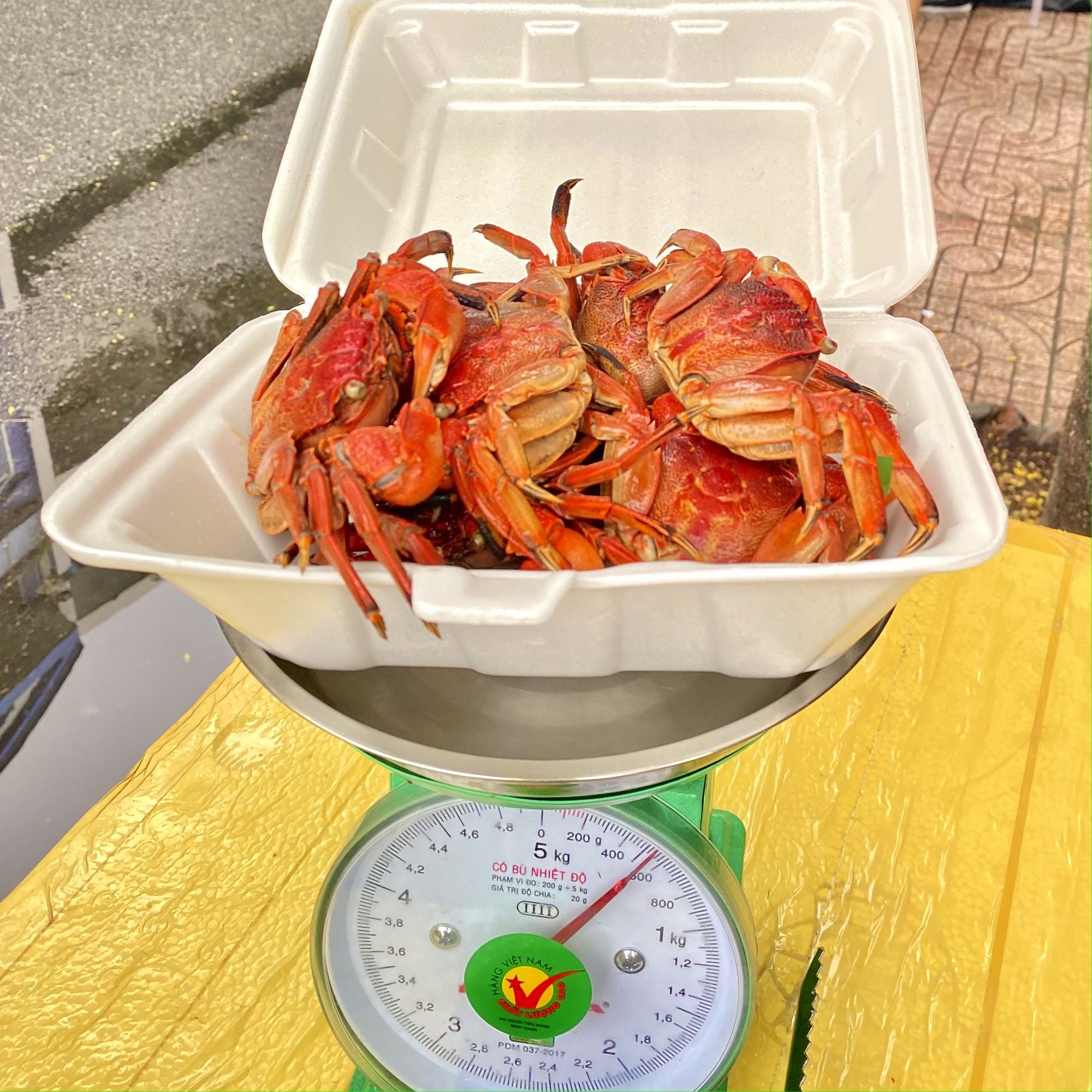 Hàng ba khía Cà Mau tại Sài Gòn tiết lộ mỗi tháng doanh thu trên 300 triệu đồng, tiền lời quá đủ để lo cho gia đình nhưng vẫn chọn bán lề đường vì một nỗi lo - Ảnh 10.