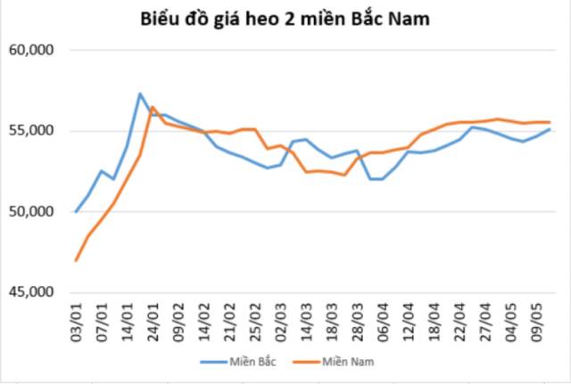 Thức ăn chăn nuôi tăng giá 5 lần, heo hơi bán không đủ hòa vốn - Ảnh 2.