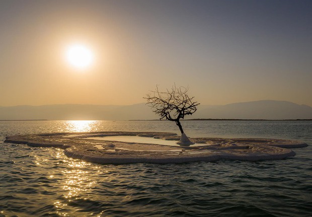 Ở giữa Biển Chết có một hòn đảo trắng tinh như tuyết, chứa đựng một điều diệu kỳ khiến cả thế giới ngỡ ngàng - Ảnh 6.