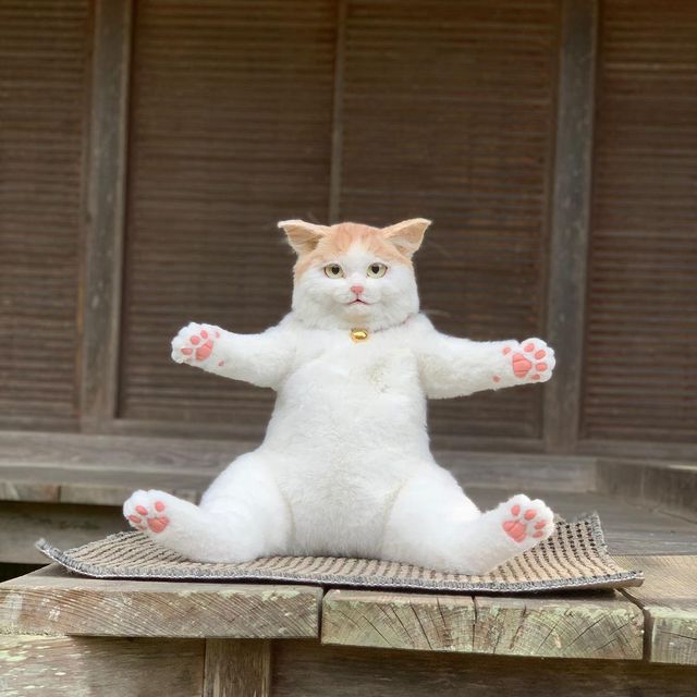 The Japanese are crazy about a backpack that looks exactly like a real cat, priced at more than $1,000 - Photo 6.