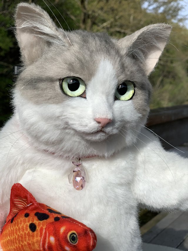 The Japanese are crazy about a backpack that looks exactly like a real cat, priced at more than $1,000 - Photo 7.