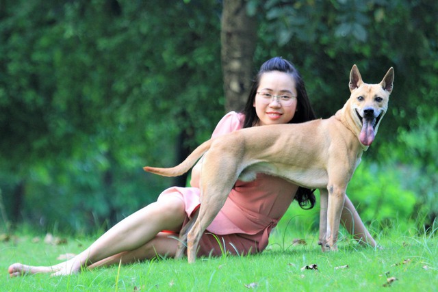 Cô dược sĩ đam mê nuôi chó Phú Quốc, sở hữu ba khuyển vương trị giá một tỷ đồng - Ảnh 8. Cô dược sĩ đam mê nuôi chó Phú Quốc, sở hữu ba khuyển vương trị giá một tỷ đồng - Ảnh 8.