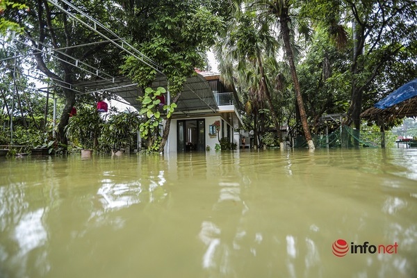 Nước sông lên cao, hàng chục hộ dân ở ngoại ô Hà Nội chìm trong biển nước - Ảnh 1.